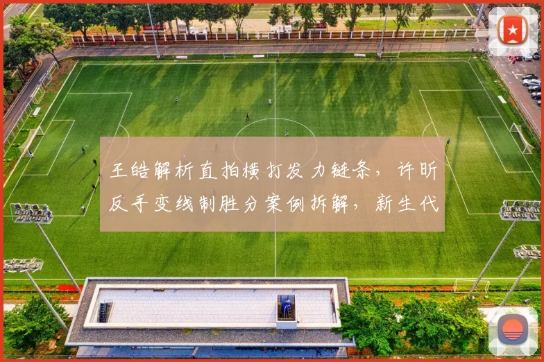 王皓解析直拍横打发力链条，许昕反手变线制胜分案例拆解，新生代直板选手生存空间与技改方向