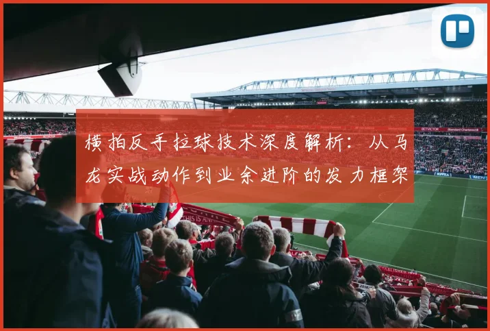 横拍反手拉球技术深度解析：从马龙实战动作到业余进阶的发力框架与纠错路径
