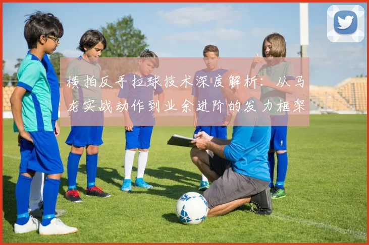 横拍反手拉球技术深度解析：从马龙实战动作到业余进阶的发力框架与纠错路径